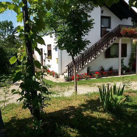 Apartment Manda Rakovica Esterno foto