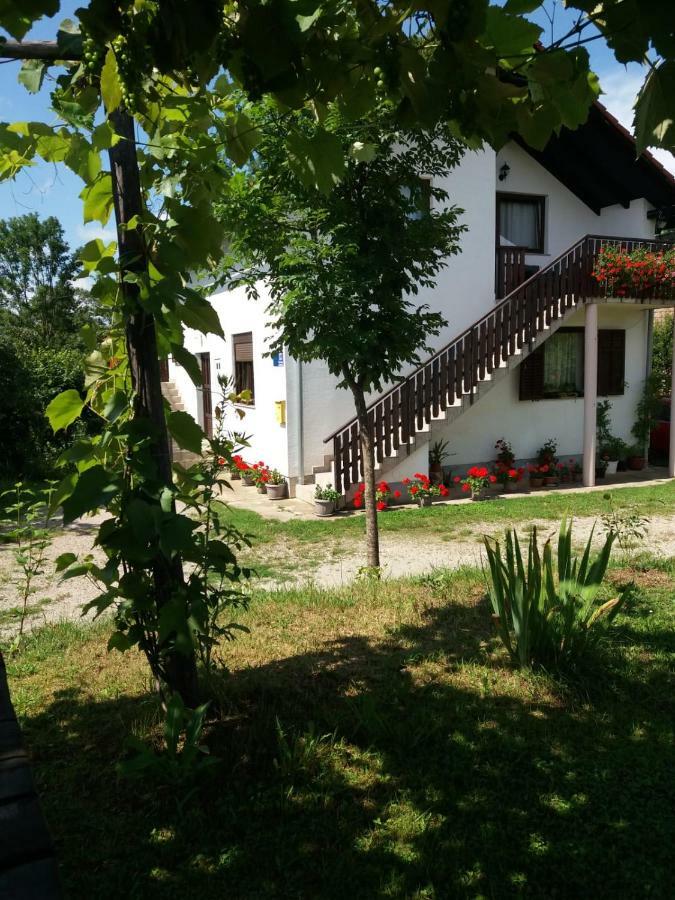 Apartment Manda Rakovica Esterno foto