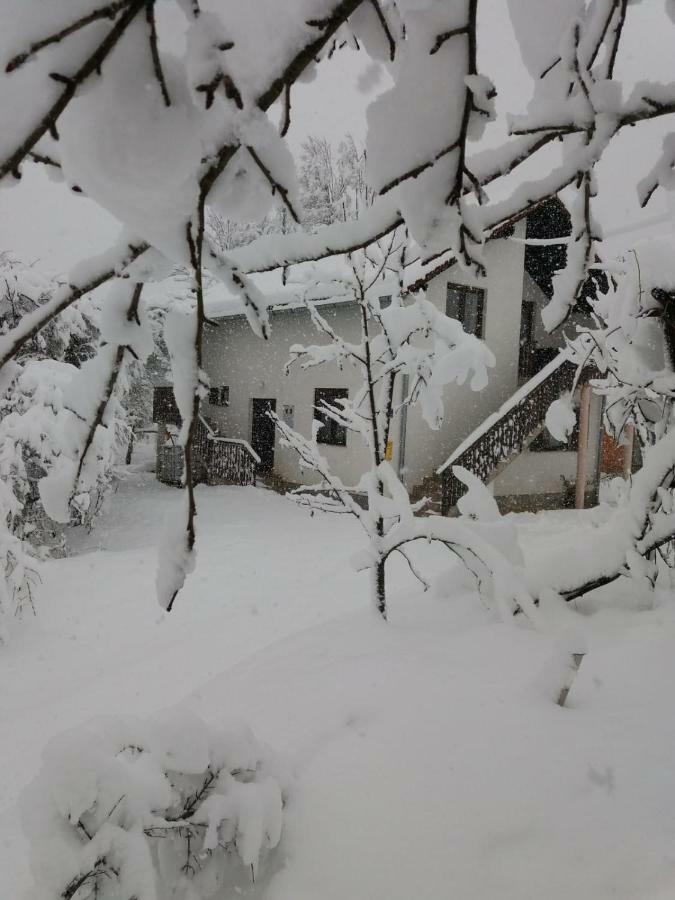 Apartment Manda Rakovica Esterno foto